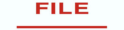 Pre-Inked FILE Stamp 1