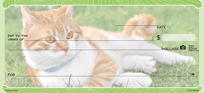 Cat's Meow 1