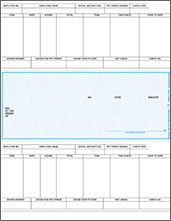 Laser 206 Voucher Checks