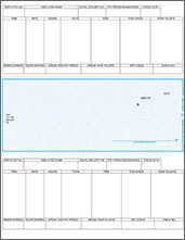 Laser 235 Payroll Check 50 Qty