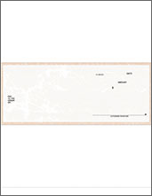 Laser 490 Voucher Checks 50 Qty